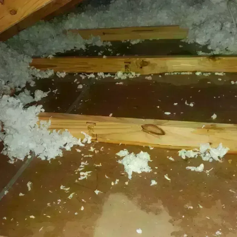 Attic Water Damage in Mineola, NY